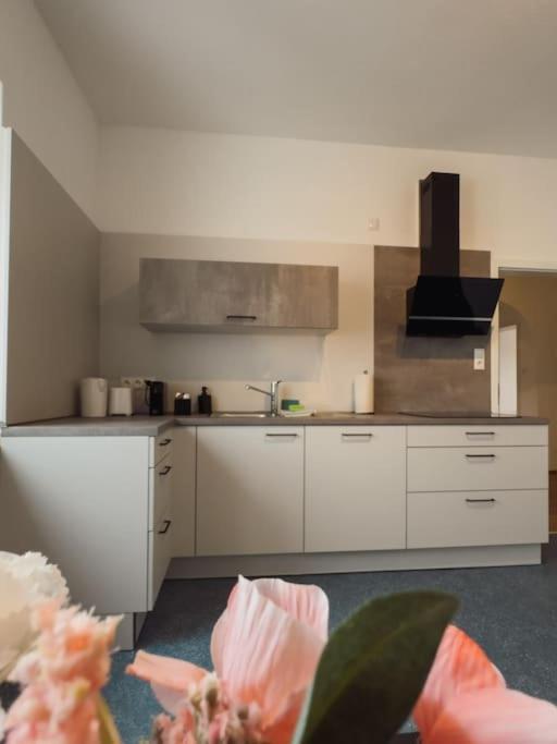 Geraeumige 3-schlafzimmer-wohnung In Koblenz Nahe Uni Apartment Koblenz (Rhineland-Palatinate)